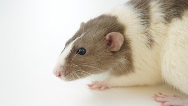 alexandr-gusev-rNDjtoR_VRM-unsplash