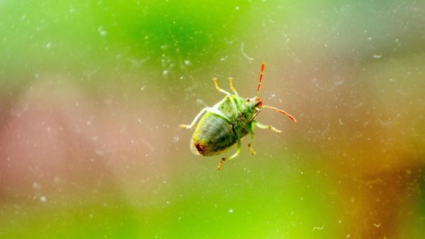 nikhil-mitra-7r_Hh0EbHBo-unsplash