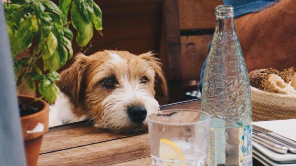 daniel-brunsteiner-_jd5ryWK5J4-unsplash