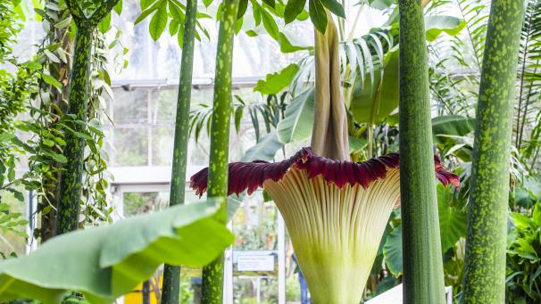 belgaimage-164175503-full