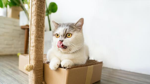 tran-mau-tri-tam-o2BEIJNN25U-unsplash