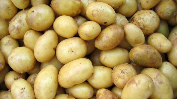 hai-nguyen-LSZfNPVZjTw-unsplash