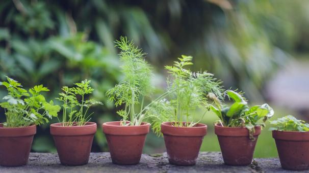 markus-spiske-IRrUkB8Fq-0-unsplash