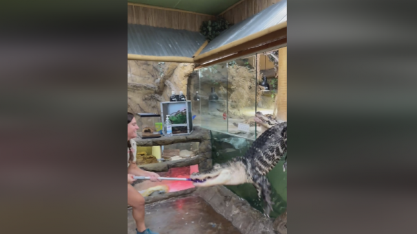 Facebook The Reptile Zoo