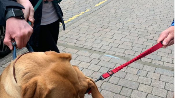 Twitter @woodwardsumer