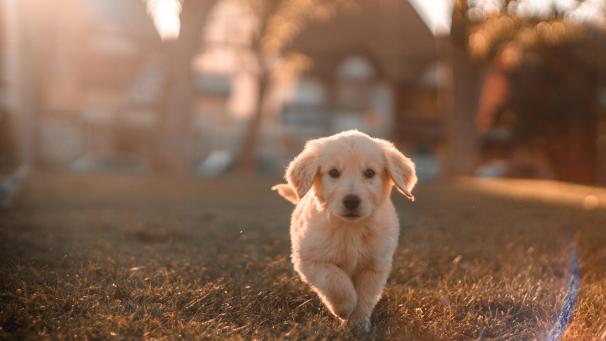 cristian-castillo-73pyV0JJOmE-unsplash