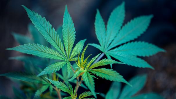 roberto-valdivia-HrRm_V-V0sM-unsplash