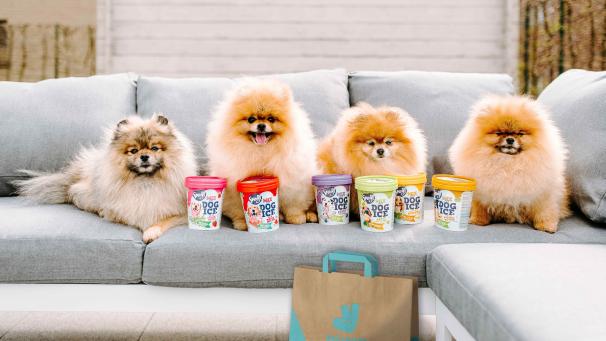 04-deliveroo-smoofl-international-dog-day