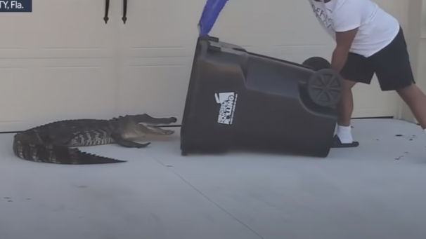 YouTube  WESH 2 News