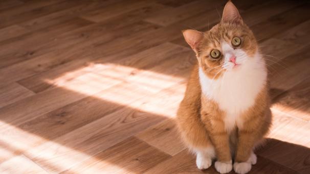 kristina-yadykina-21NRDbMJF94-unsplash