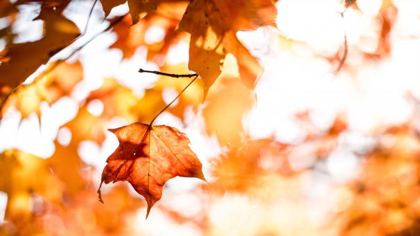 matt-uuBBew6g2jM-unsplash