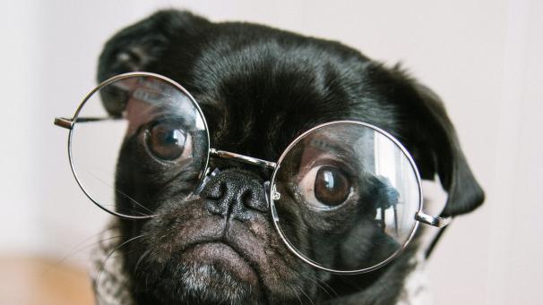 charles-deluvio-pOUA8Xay514-unsplash