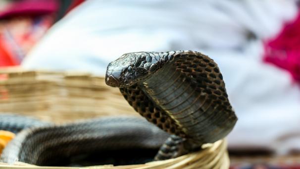 godwin-angeline-benjo-DY0z8geIsX8-unsplash