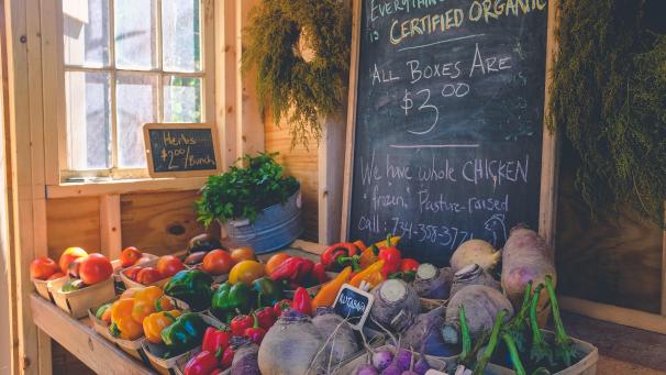 neonbrand-sEwtU-qy06c-unsplash