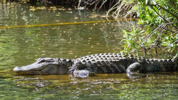 matthew-essman-IVG-_atJ048-unsplash