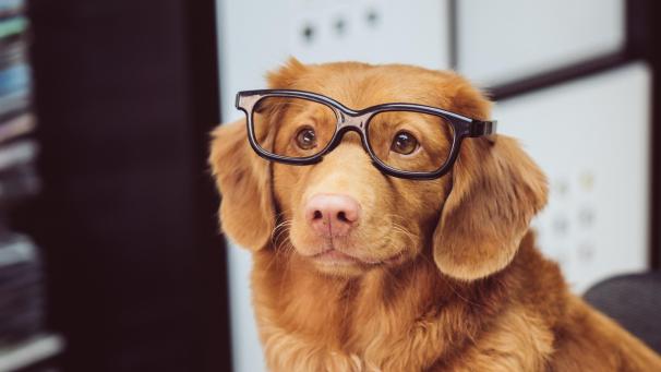 jamie-street-Zqy-x7K5Qcg-unsplash