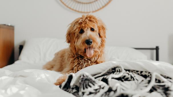 brooke-cagle-szzLdR9800c-unsplash