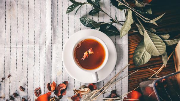 miti-DFtvglCPWjY-unsplash