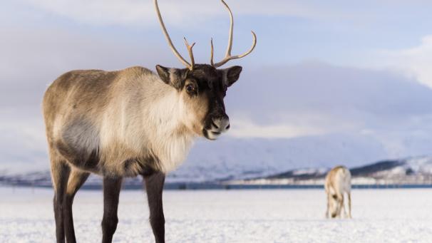 nicolas-lafargue-3v1GBL9pWE4-unsplash